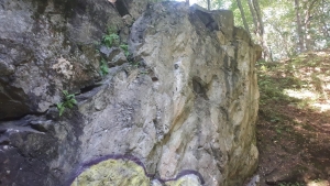 2023.09.17 Rejon wspinaczkowy "Skalica" w Ustroniu