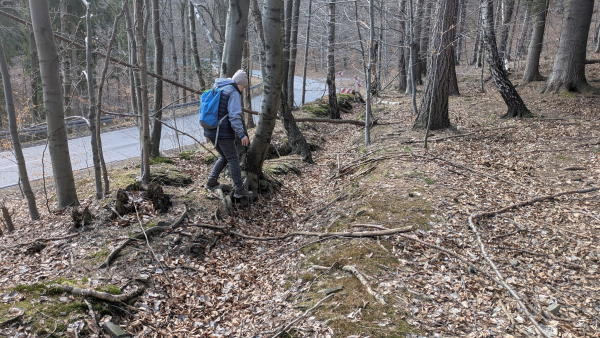 2026.03.21 Rejon Przegibka