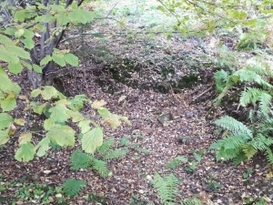 2020.10.21 Sekcja Archeologiczna w Beskidzie Żywieckim
