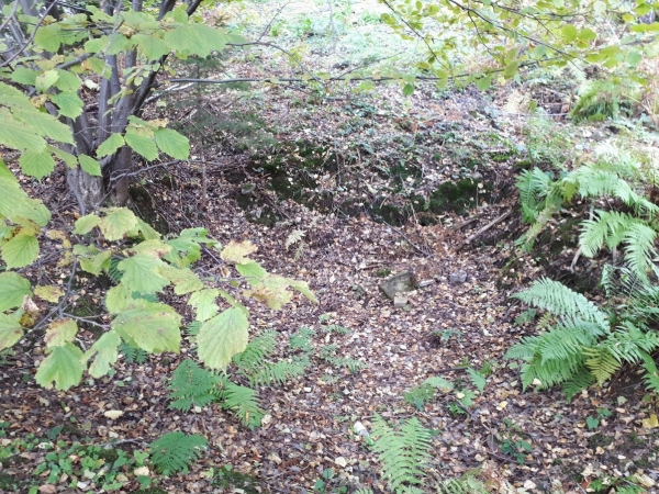 2020.10.21 Sekcja Archeologiczna w Beskidzie Żywieckim