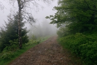 2019.05.29 Magurka P12W