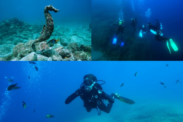 2025.06.26-29 Chorwacja Istria nurkowanie