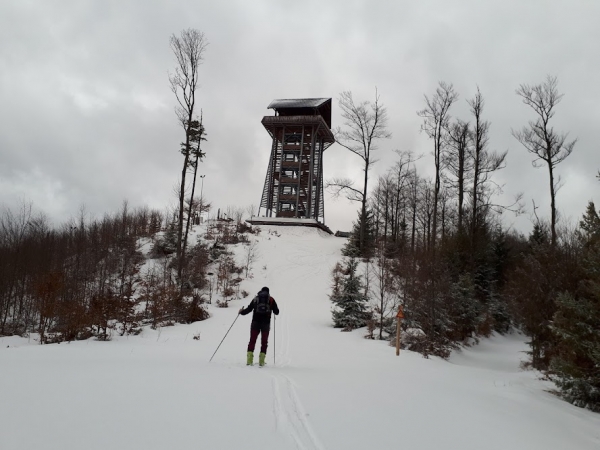 2024.01.25 Akcja narciarska na /Kiczorkę/ Halę Śmietanową 1298 w rejonie Babiej G&oacute;ry