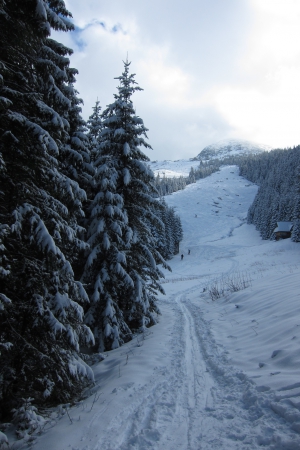 2016.02.20 Dolina Goryczkowa