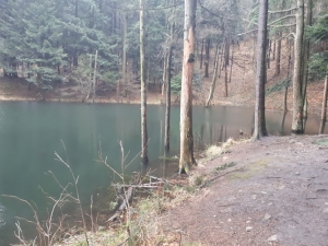 2020.02.21 Wilczy Staw nad Kozami w Beskidzie Małym