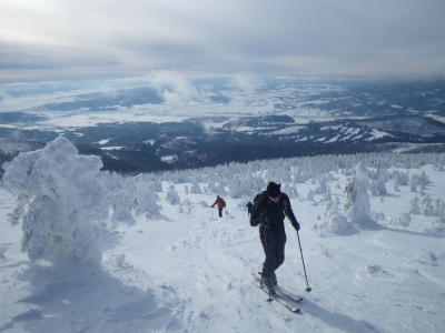 2015.02.01 Babia G&oacute;ra na nartach i z psem