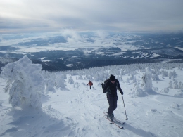2015.02.01 Babia G&oacute;ra na nartach i z psem