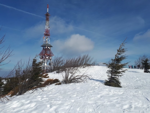 2019.02.21 Puchar 12 Wzniesień - Skrzyczne od dolnej stacji kolejki. /narty/