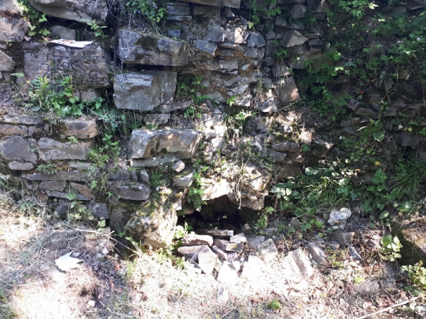 2019.06.03 Akcja rowerowa do ruin na Wołku