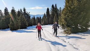 2026.01.17 Sucha G&oacute;ra 1040 - akcja narciarska. Beskid Żywiecki