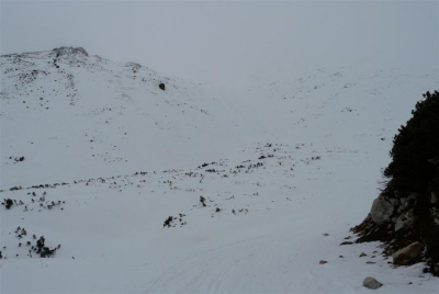 2014.03.06-07 Łomnica - Słowacja