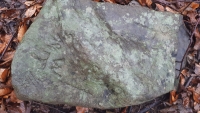 2024.02.04  P12W - Gaiki