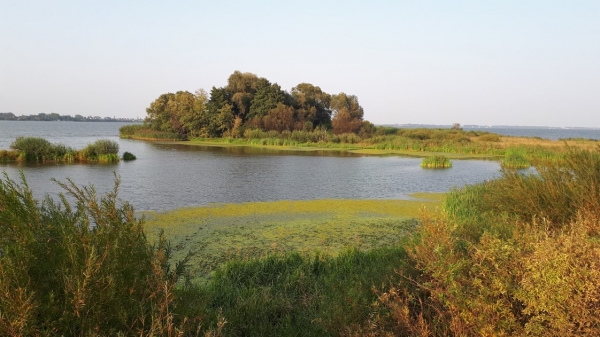 2018.08.29 Wyspa bezludna na Jeziorze  Goczałkowickim koło Chybia