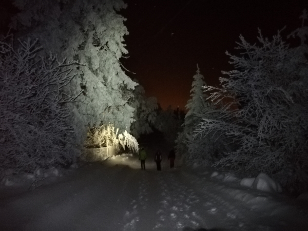 2021.02.11 P12W - Magurka