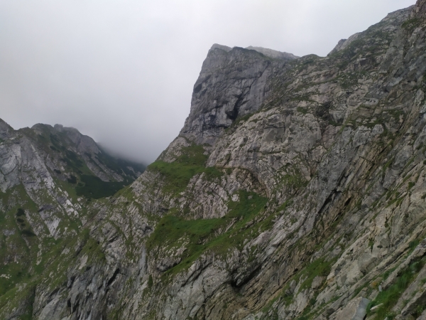 Otw&oacute;r Ptasiej Studni w Ratuszu Mułowym