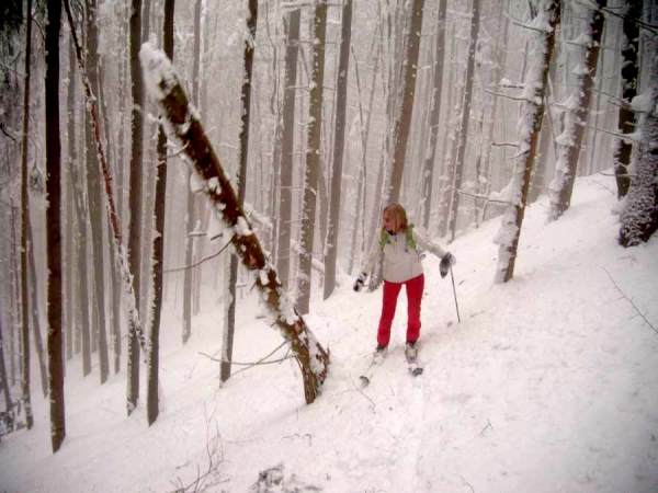 2013.02.16 Wyjazd Sekcji Narciarstwa Wysokog&oacute;rskiego Speleoklubu Bielsko-Biała na Wysoką Magurę 1111 m po Słowackiej stronie w rejonie Oszusa 1155