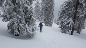 2018.03.17. Łabski Szczyt turowo