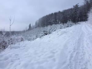 2017.01.15 Błatnia na nartach