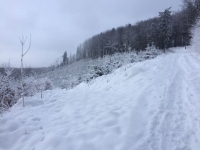2017.01.15 Błatnia na nartach