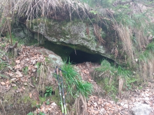 Otw&oacute;r schroniska