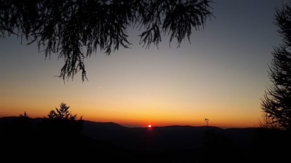 2023.09.15 Akcja świetlna