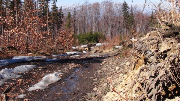 2013.04.16 Tour de dolina Wysokiego Potoku