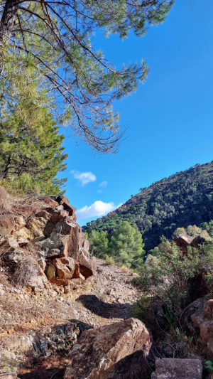 2026.01.06 Hiszpania - turystycznie