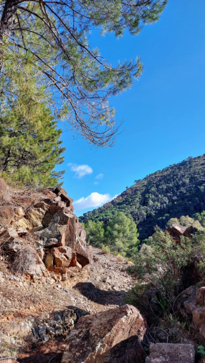 2026.01.06 Hiszpania - turystycznie