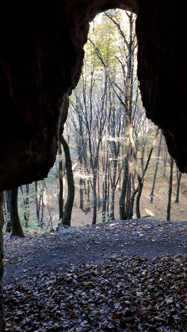 2024.10.24 Dolina Kobylańska