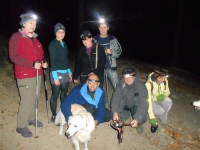2015.11.04 P12W Borowina