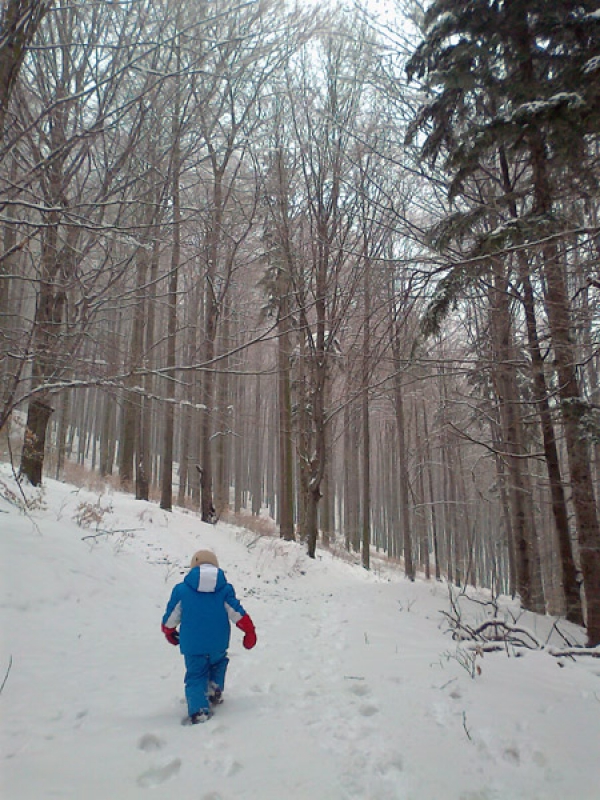 2013.02.14 Stoki Łazka i okolice - P10W