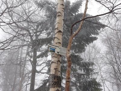 2019.01.05 P12 W Palenica