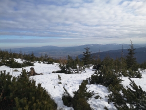 Widok na Tatry z Małego Skrzycznego