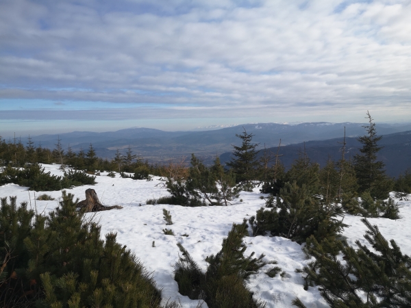 Widok na Tatry z Małego Skrzycznego