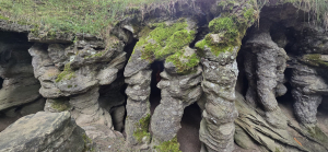 2025.07.23 Groty Mechowskie