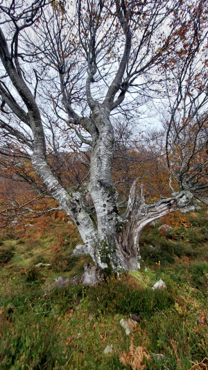 2025.11.06 Hiszpania - G&oacute;ry Kantabryjskie