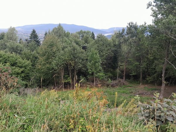 Widok z Grojca w stronę jeziora i Żaru