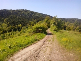 Gancarz od wschodu nie prezentuje się tak okazale.