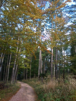 2013.10.8 KG-17 Trail Challenge