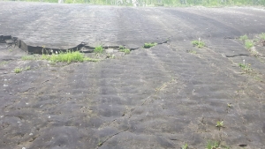 2023.05.08 Janikowa Skała - Mutne /Jeleśnia/