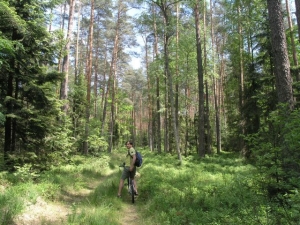 2016.05.26-29 Lasy Janowskie