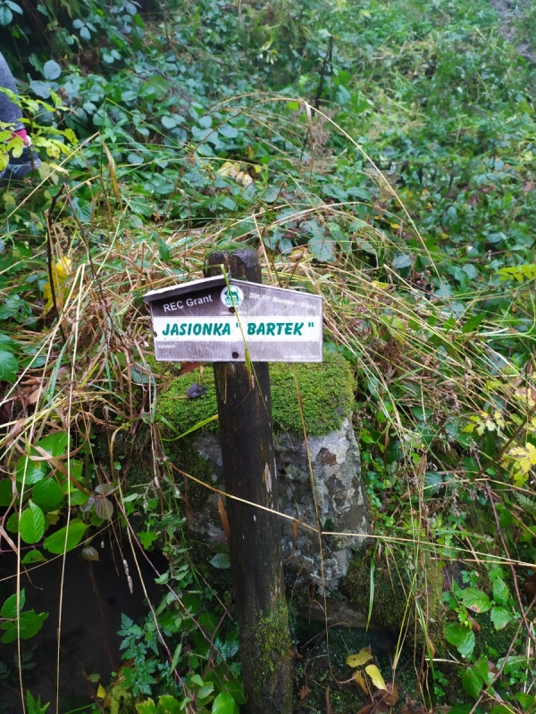 2020.10.18 - Źr&oacute;dła Jasionki pod Błatnią