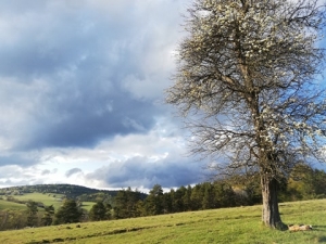 2020.05.01-03 Beskid Niski