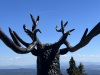 2026.05.02 Akcja turystyczna na Łysa G&oacute;rę - Beskid Morawsko Śląski