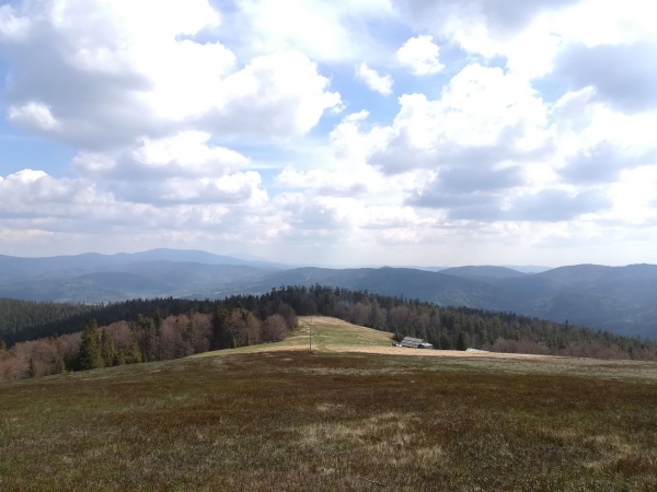 2020.05.17 Wielka Rycerzowa