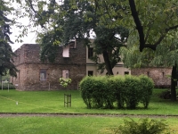 2020.07.17 Wykład o nietoperzach w G&oacute;rkach Wielkich