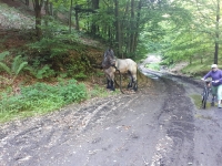 2022.06.03 Żarn&oacute;wka Mała - Beskid Mały, wyjazd eksploracyjny