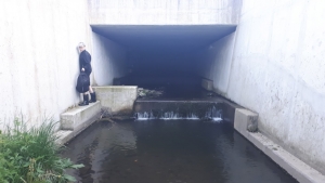 2023.05.09 Trasa rzeczna od klubu do ścianki wspinaczkowej