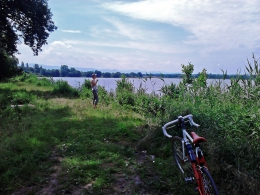 2013.06.16 Niedziela z ptactwem i robactwem