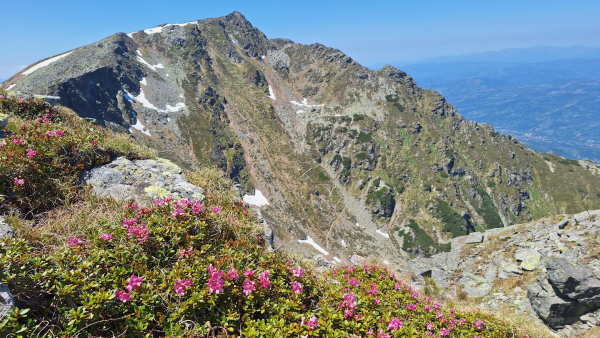 Vf. Pietrosul 2303 m